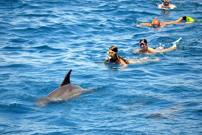 Dolphin House Trip Hurghada